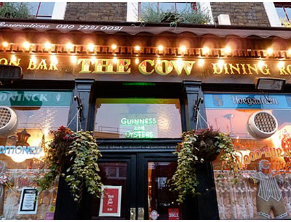 thecow2